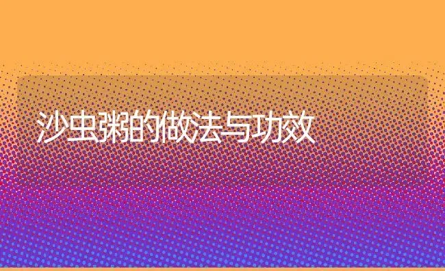 沙虫粥的做法与功效 | 养殖资讯