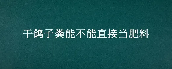 干鸽子粪能不能直接当肥料
