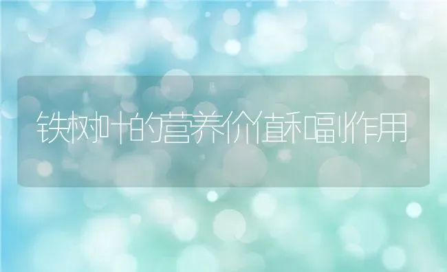 铁树叶的营养价值和副作用 | 养殖资料投稿