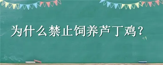 为什么禁止饲养芦丁鸡？