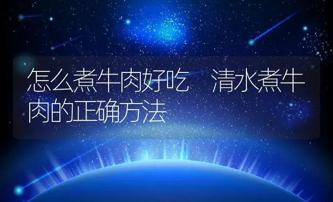 怎么煮牛肉好吃 清水煮牛肉的正确方法 | 养殖资料投稿