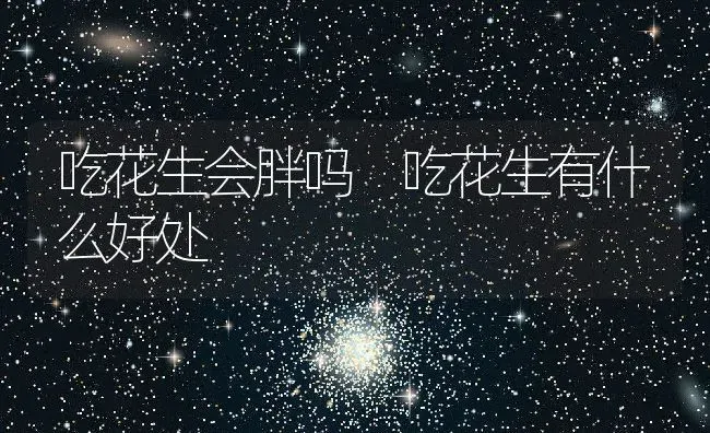 吃花生会胖吗 吃花生有什么好处 | 养殖资料投稿