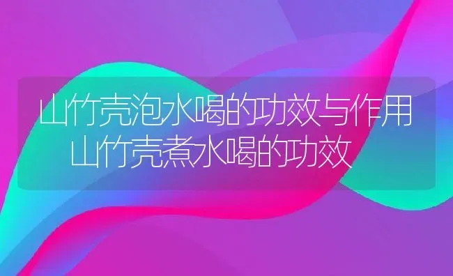 山竹壳泡水喝的功效与作用 山竹壳煮水喝的功效 | 养殖资料投稿