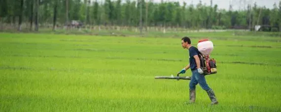 除草剂打后几小时下雨不影响效果