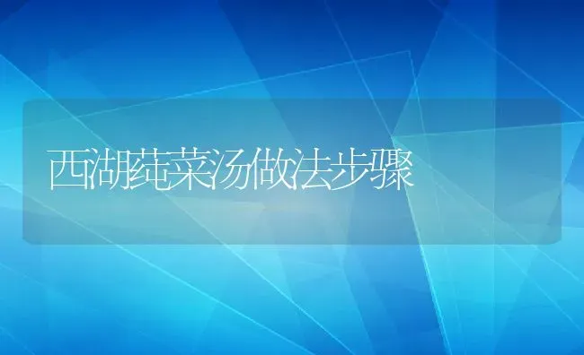 西湖莼菜汤做法步骤 | 养殖资料投稿