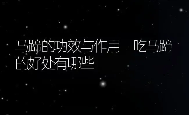 马蹄的功效与作用 吃马蹄的好处有哪些 | 养殖资料投稿