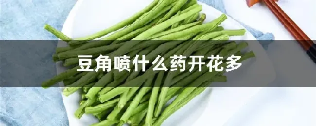 豆角喷什么药开花多