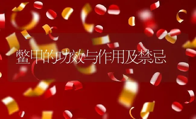 鳖甲的功效与作用及禁忌 | 养殖资料投稿