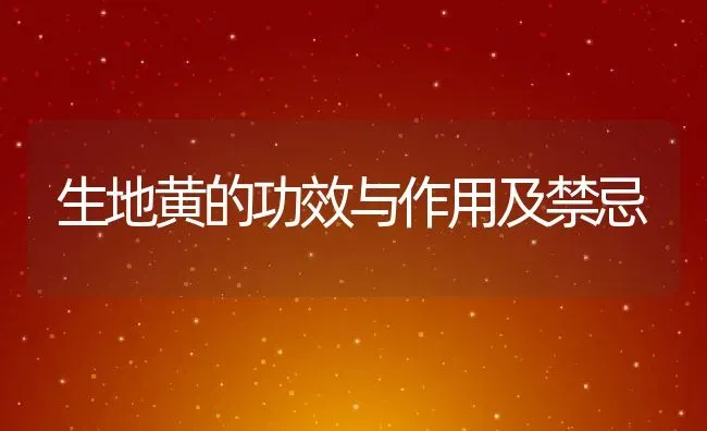 生地黄的功效与作用及禁忌 | 养殖资料投稿