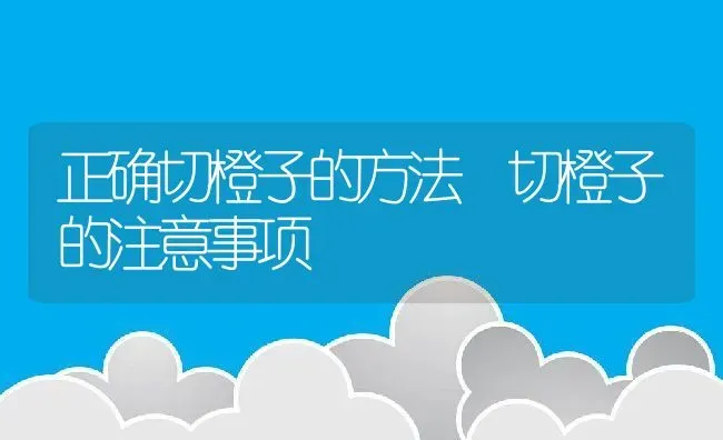 正确切橙子的方法 切橙子的注意事项 | 养殖资料投稿