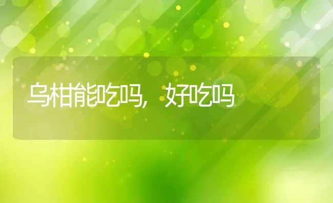 乌柑能吃吗,好吃吗 | 养殖资讯
