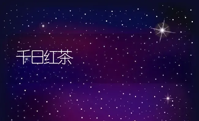 千日红茶 | 养殖资料投稿