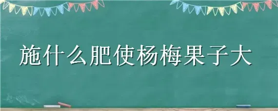 施什么肥使杨梅果子大