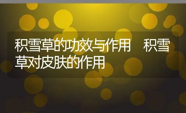 积雪草的功效与作用 积雪草对皮肤的作用 | 养殖资料投稿