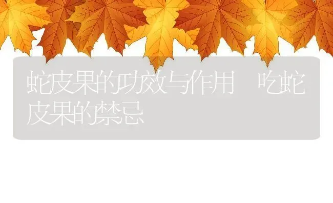 蛇皮果的功效与作用 吃蛇皮果的禁忌 | 养殖资料投稿