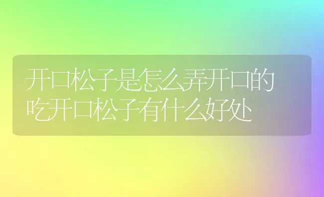 白蒿蒸鸡蛋的功效与作用 | 养殖资料投稿