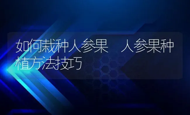 如何栽种人参果 人参果种植方法技巧 | 养殖资料投稿