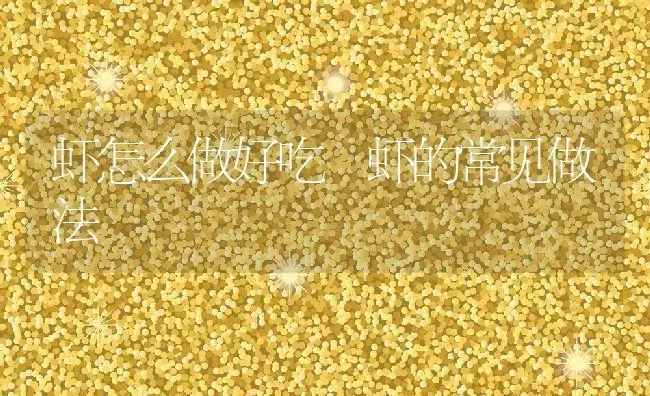 虾怎么做好吃 虾的常见做法 | 养殖资料投稿