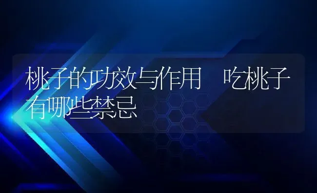 桃子的功效与作用 吃桃子有哪些禁忌 | 养殖资料投稿