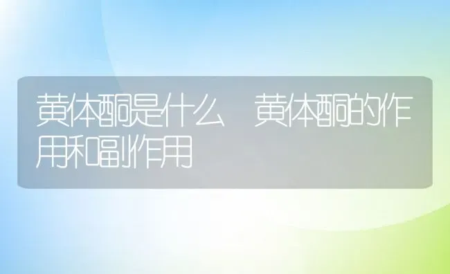 黄体酮是什么 黄体酮的作用和副作用 | 养殖资料投稿
