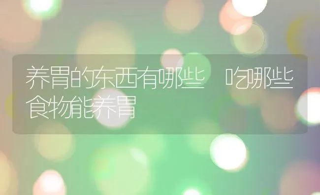 养胃的东西有哪些 吃哪些食物能养胃 | 养殖资料投稿