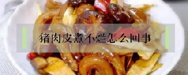 猪肉皮煮不烂怎么回事