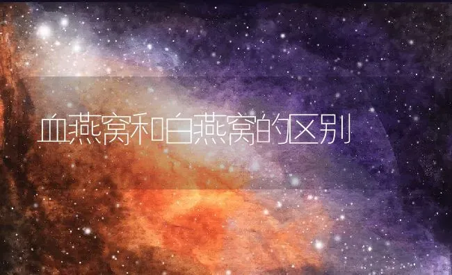 血燕窝和白燕窝的区别 | 养殖资料投稿