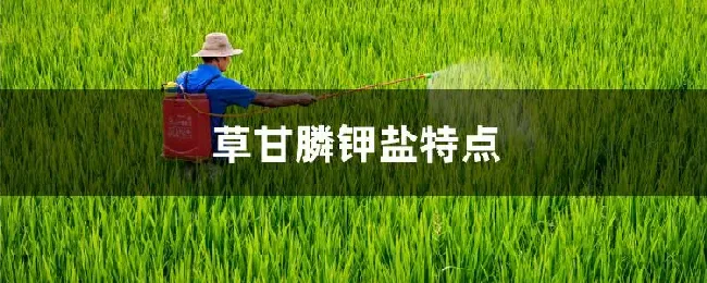 草甘膦钾盐特点