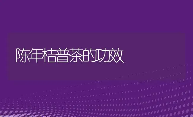 陈年桔普茶的功效 | 养殖资料投稿