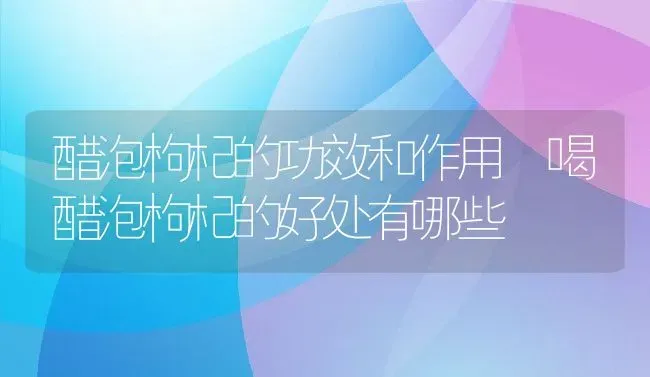 醋泡枸杞的功效和作用 喝醋泡枸杞的好处有哪些 | 养殖资料投稿