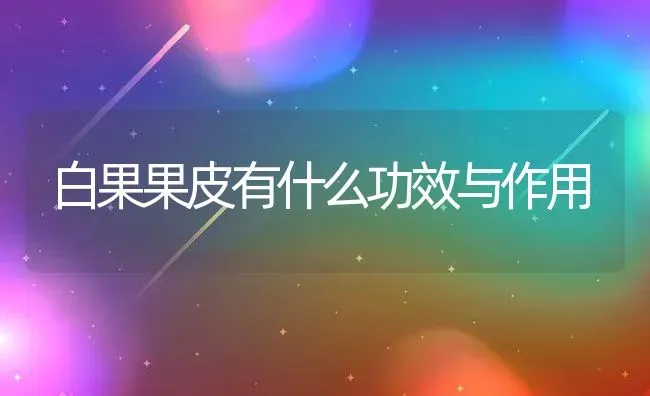 白果果皮有什么功效与作用 | 养殖资料投稿