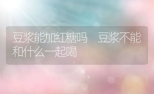 豆浆能加红糖吗 豆浆不能和什么一起喝 | 养殖资料投稿