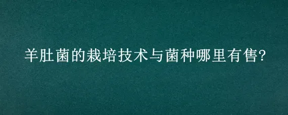 羊肚菌的栽培技术与菌种哪里有售?