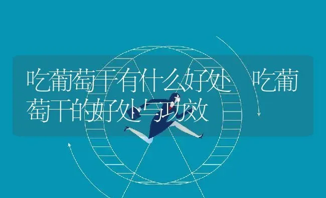 吃葡萄干有什么好处 吃葡萄干的好处与功效 | 养殖资料投稿
