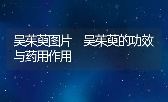 蜂毒的作用及功效及药用价值 | 养殖资料投稿