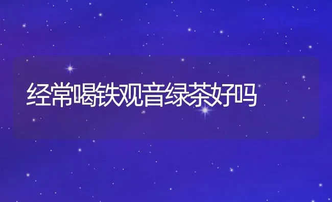 经常喝铁观音绿茶好吗 | 养殖资料投稿
