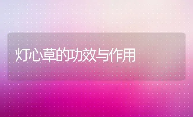 灯心草的功效与作用 | 养殖资料投稿