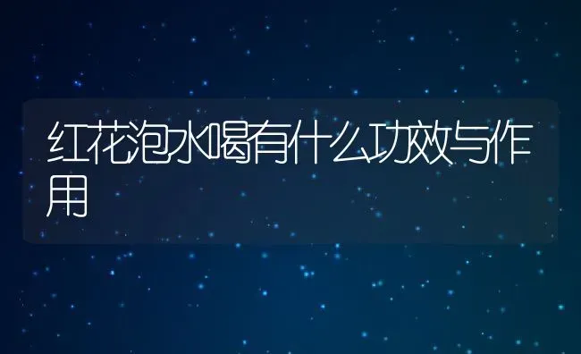 红花泡水喝有什么功效与作用 | 养殖资料投稿