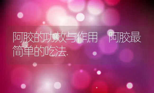 阿胶的功效与作用 阿胶最简单的吃法 | 养殖资料投稿