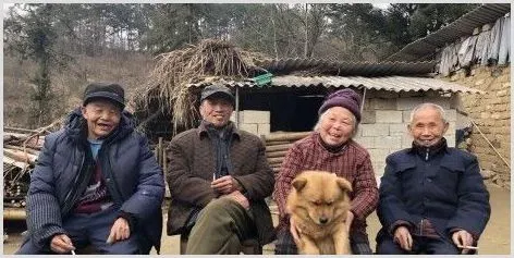今年哪一类农民将受益？这五项农村补贴扶贫措施让你发家致富 | 农业养殖资讯