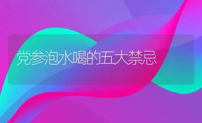 党参泡水喝的五大禁忌 | 养殖资料投稿