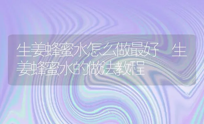 生姜蜂蜜水怎么做最好 生姜蜂蜜水的做法教程 | 养殖资料投稿