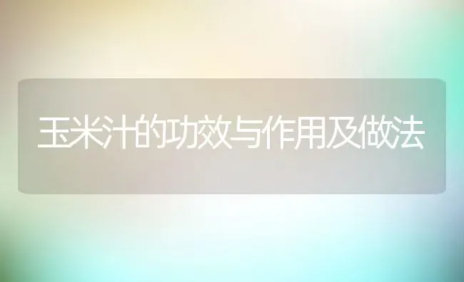 玉米汁的功效与作用及做法 | 养殖资料投稿