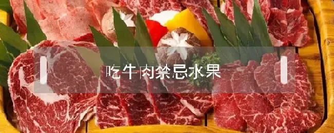 吃牛肉禁忌水果
