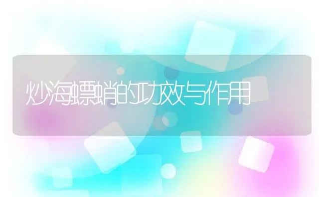 炒海螵蛸的功效与作用 | 养殖资料投稿