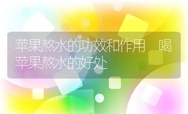 苹果熬水的功效和作用 喝苹果熬水的好处 | 养殖资料投稿