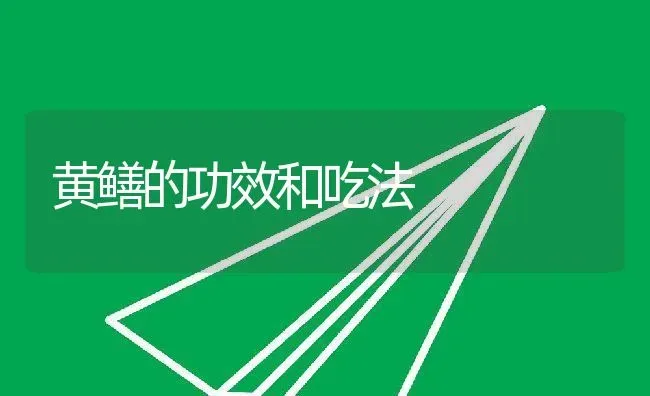 黄鳝的功效和吃法 | 养殖资料投稿