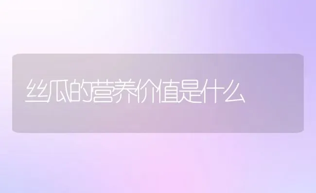 丝瓜的营养价值是什么 | 养殖资料投稿