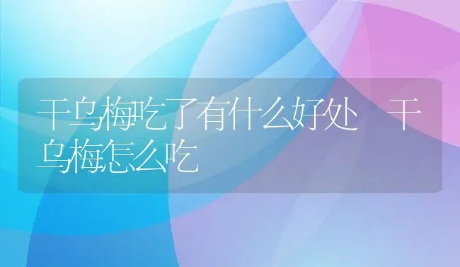 干乌梅吃了有什么好处 干乌梅怎么吃 | 养殖资料投稿