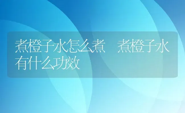 煮橙子水怎么煮 煮橙子水有什么功效 | 养殖资料投稿